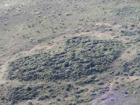 Aerial photo of Pueblo La Plata
