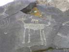 Zoomorphic petroglyph