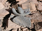 Image of mano and metate