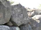 Petroglyph panel