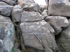 Anthropomorphic petroglyph