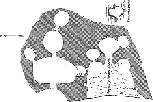 A few pot sherds can still be found in the middens below the cliff face