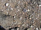 Pot sherds litter the ground